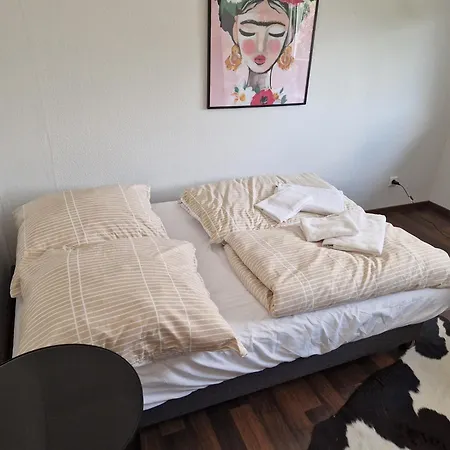 Comfortable And Ideal For Frankfurt And Surrounding Area Apartment