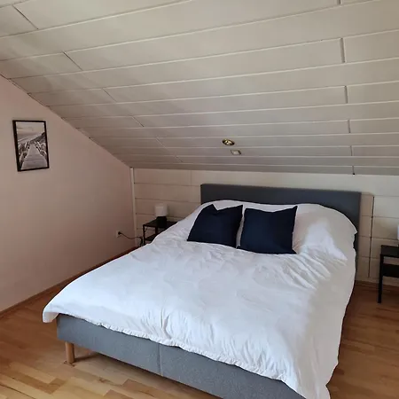 Comfortable And Ideal For Frankfurt And Surrounding Area Apartment