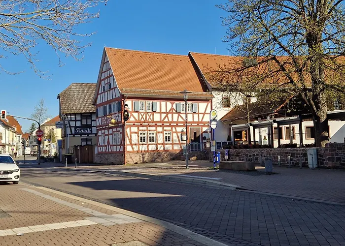 Comfortable And Ideal For Frankfurt And Surrounding Area Apartment Moerfelden-Walldorf